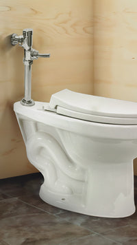 Taza Fluxometro + Tapa Asiento Blanco (640X370X420) Fratelli