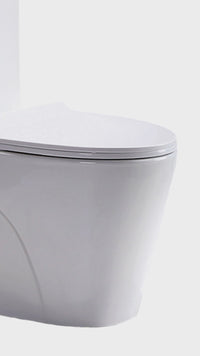 Inodoro One Piece Blanco Minimalista 8616 (70X40X78) +Tapa  Asiento Y Acces.Fratelli