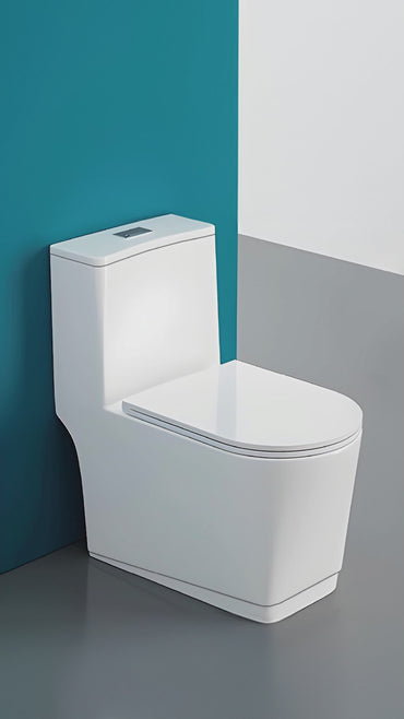 Inodoro One Piece  Cuadrado + Tapa Asiento Y Acces.Blanco  (695X375X750) - Fratelli Premium